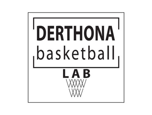 basketball lab