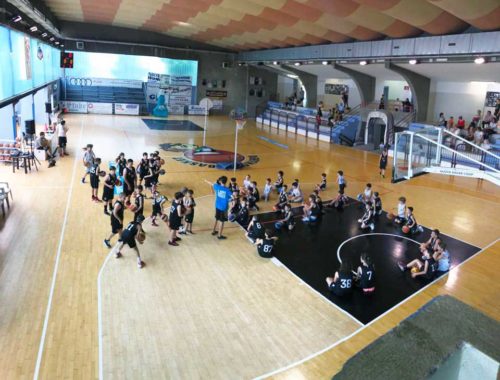 festa minibasket